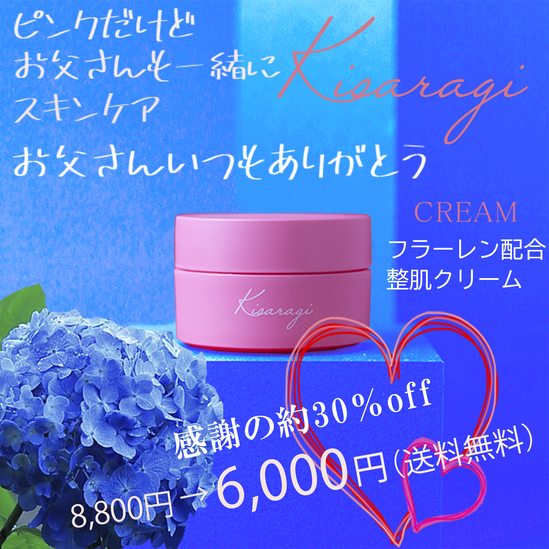 期間限定プレゼント