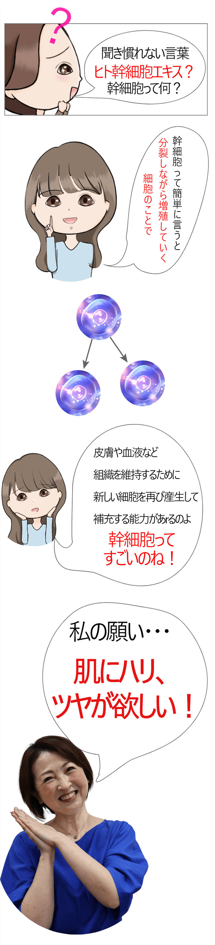 主にヒト幹細胞エキスを使用。人の肌に吸収されやすい。
